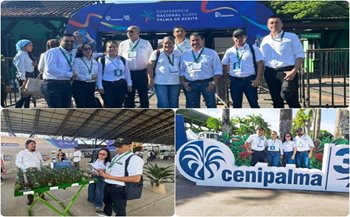 Participantes en la jornada. 