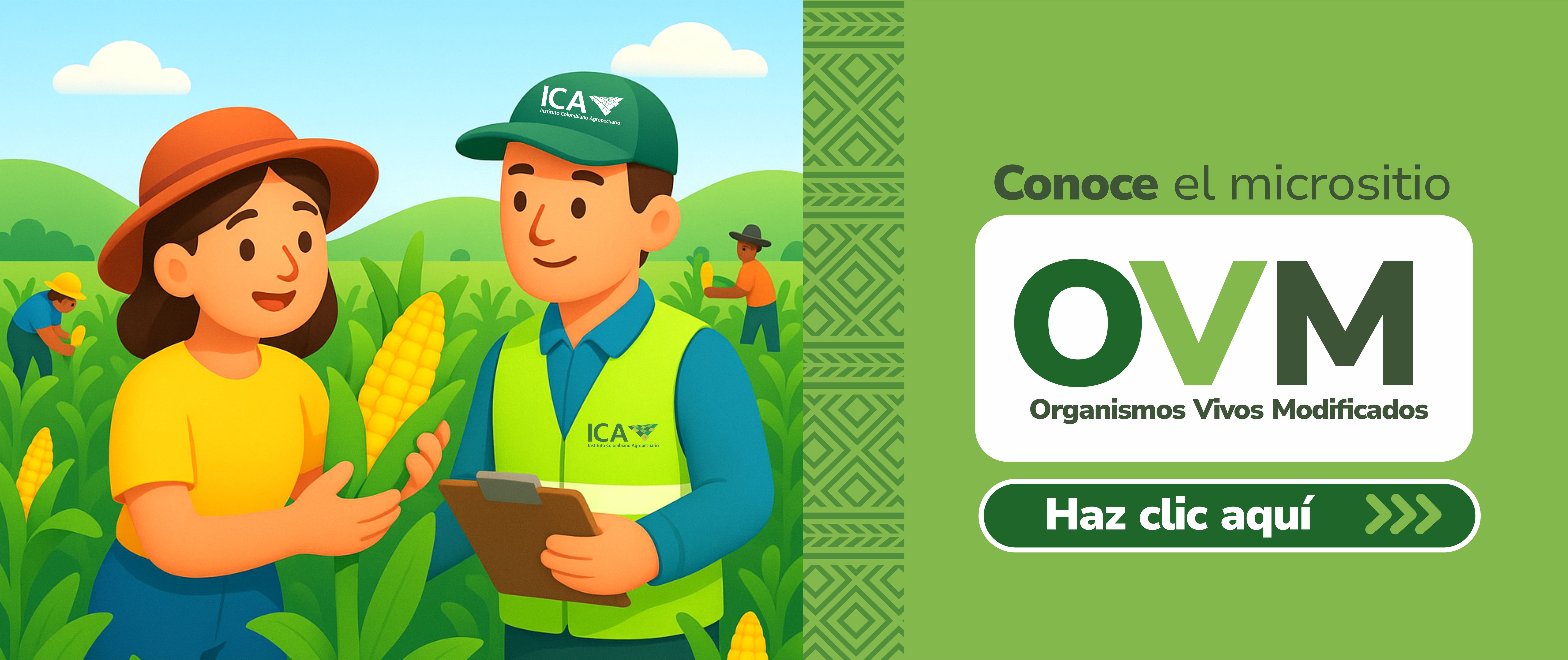 Conoce el micrositio aquí 