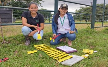Dispositivos de Identificación Nacional (DINES)