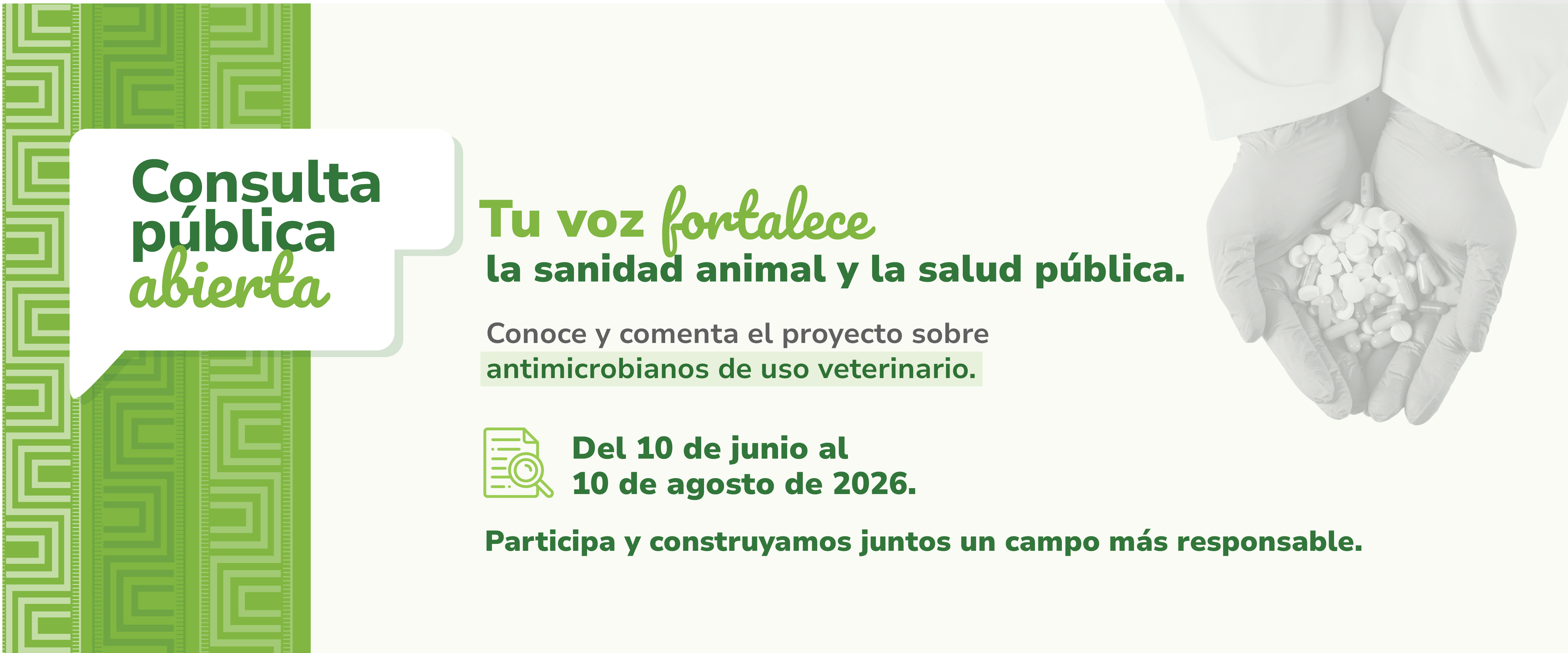 Participa aquí en la consulta sobre antimicrobianos de usa veterinario