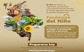 Fenómeno de El Niño.