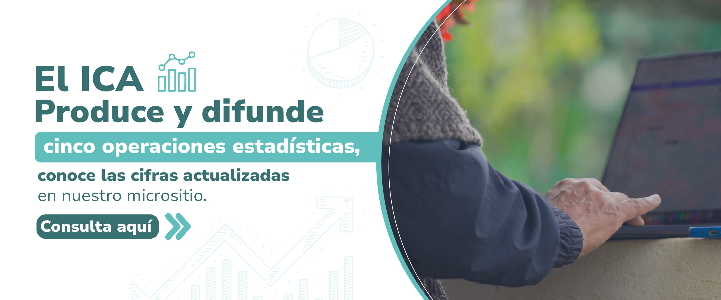 Más información aquí: 