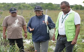 Flor de Inírida, Inírida, Guainía.