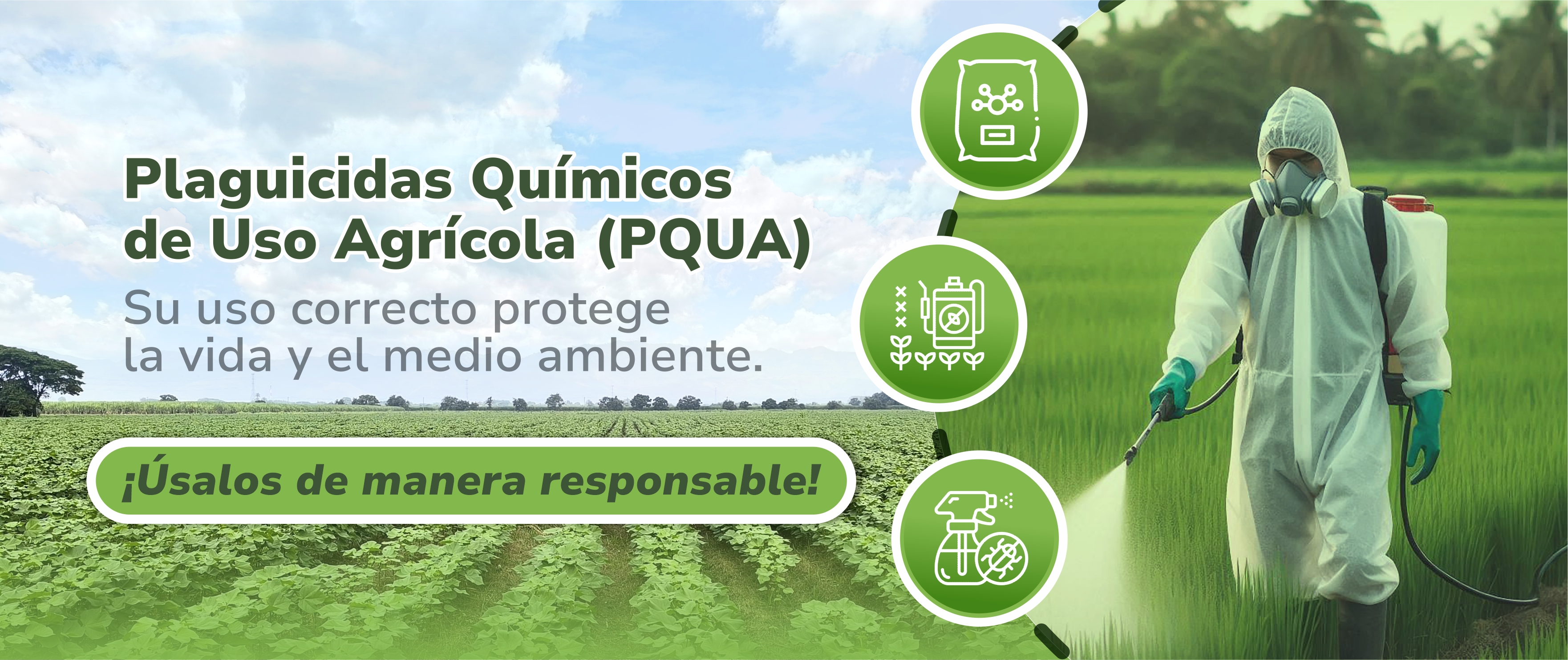 Más información aquí: 
