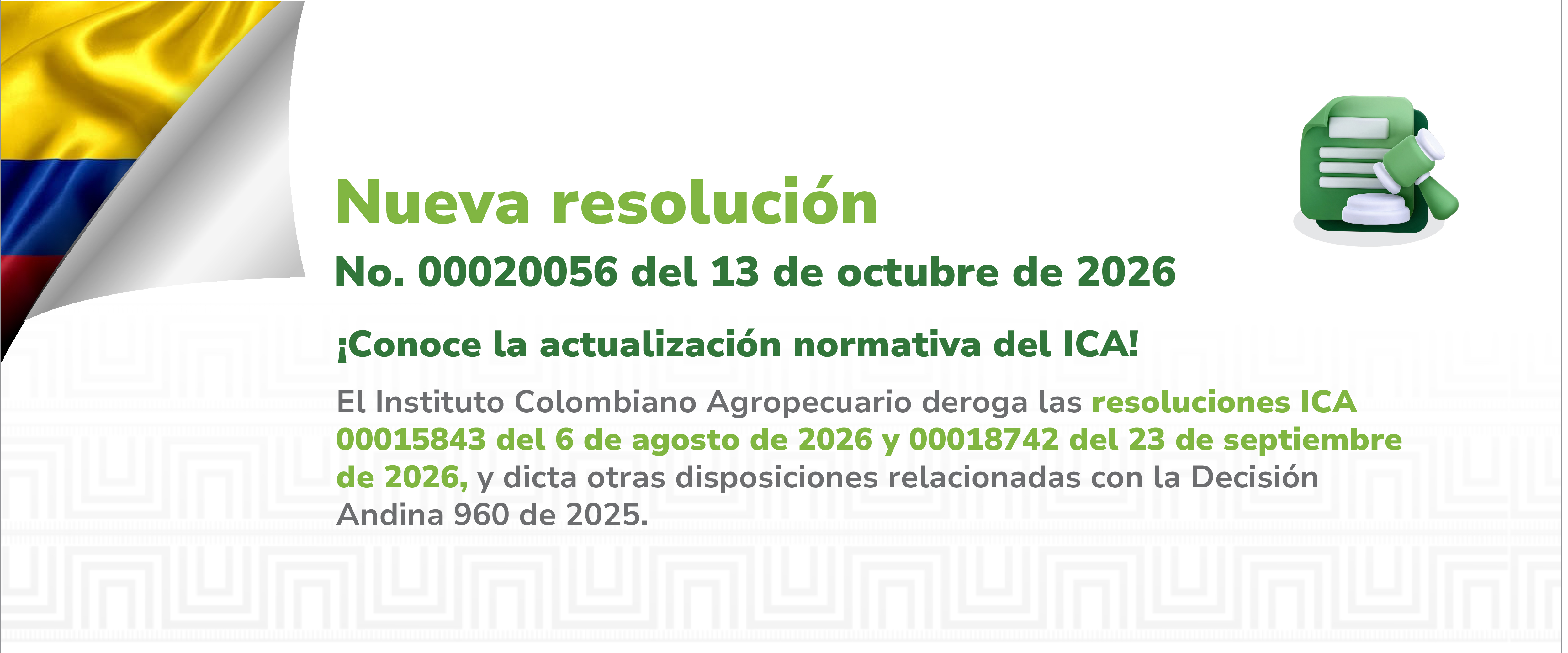 Consulta aquí la resolución 00020056