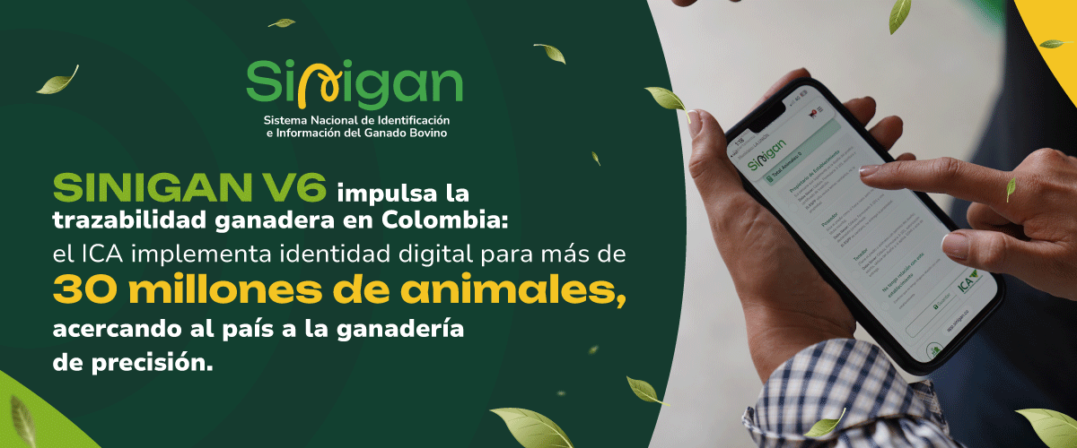 Conoce aquí sobre la gestión de inventarios