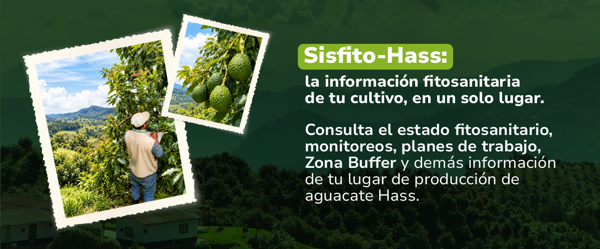Consulta aquí toda la información