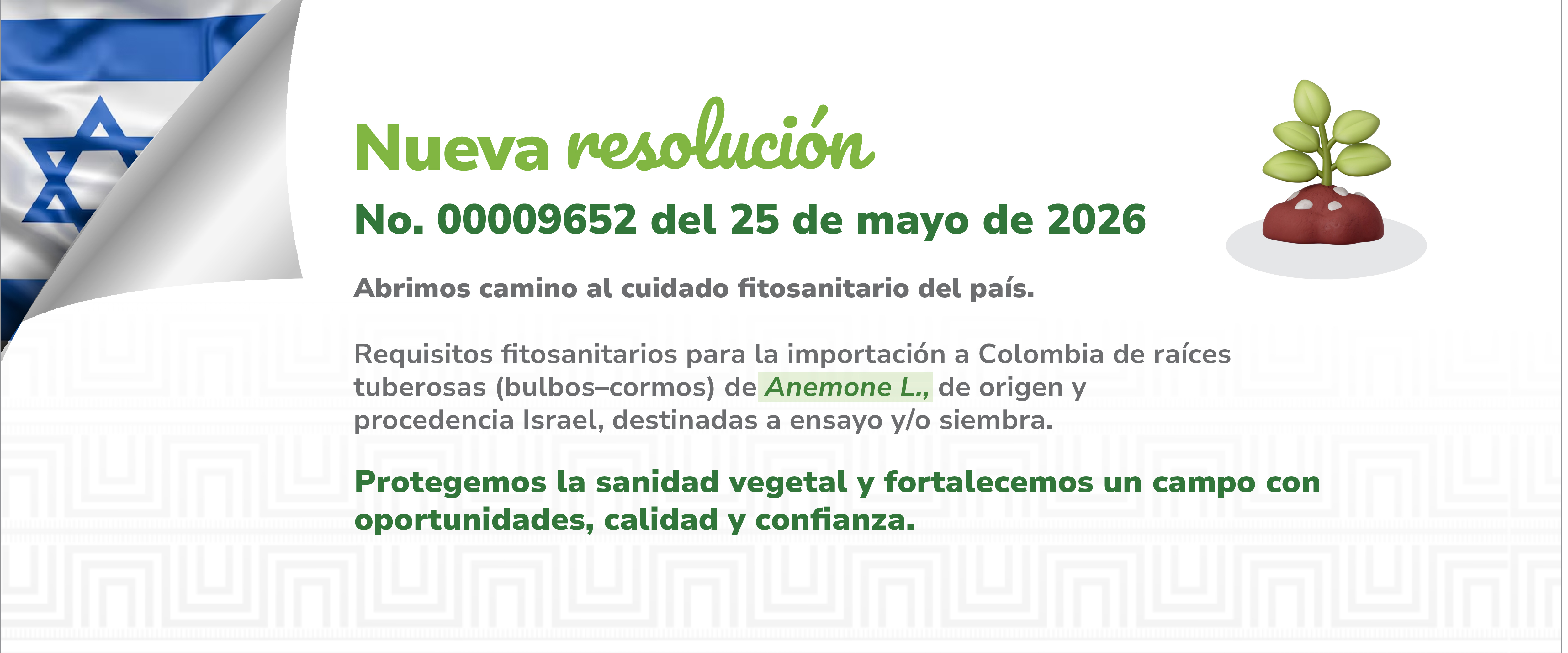 Conoce aquí la resolución 00009652
