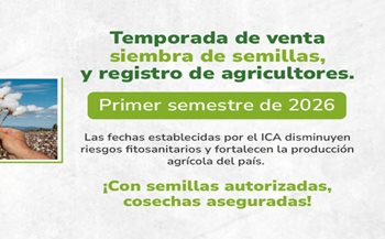 Temporada de siembras.