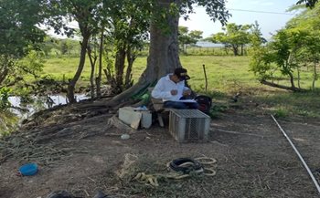 Participantes en la jornada.