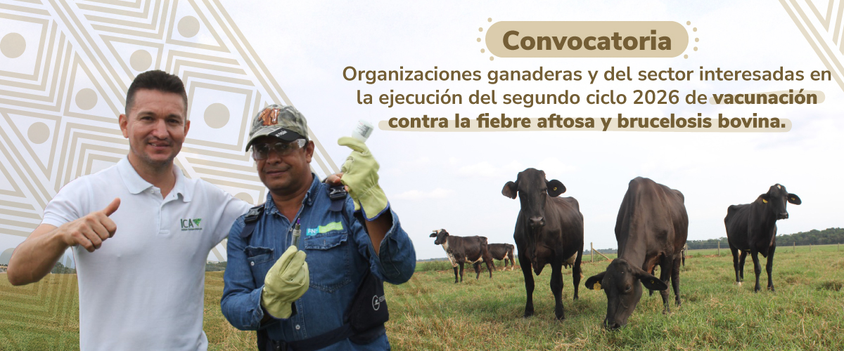 Más información aquí: 