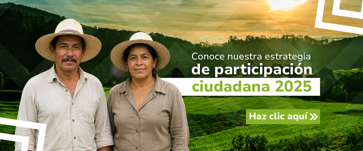 Consulta aquí 