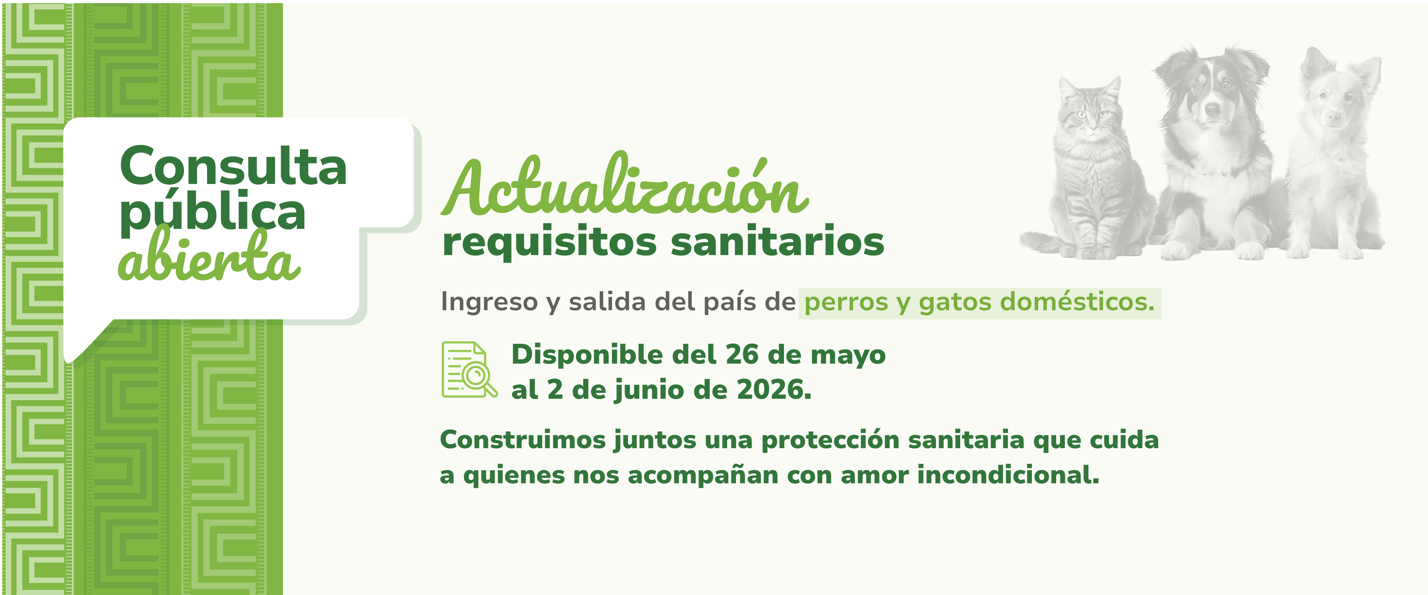 Participa aquí: 