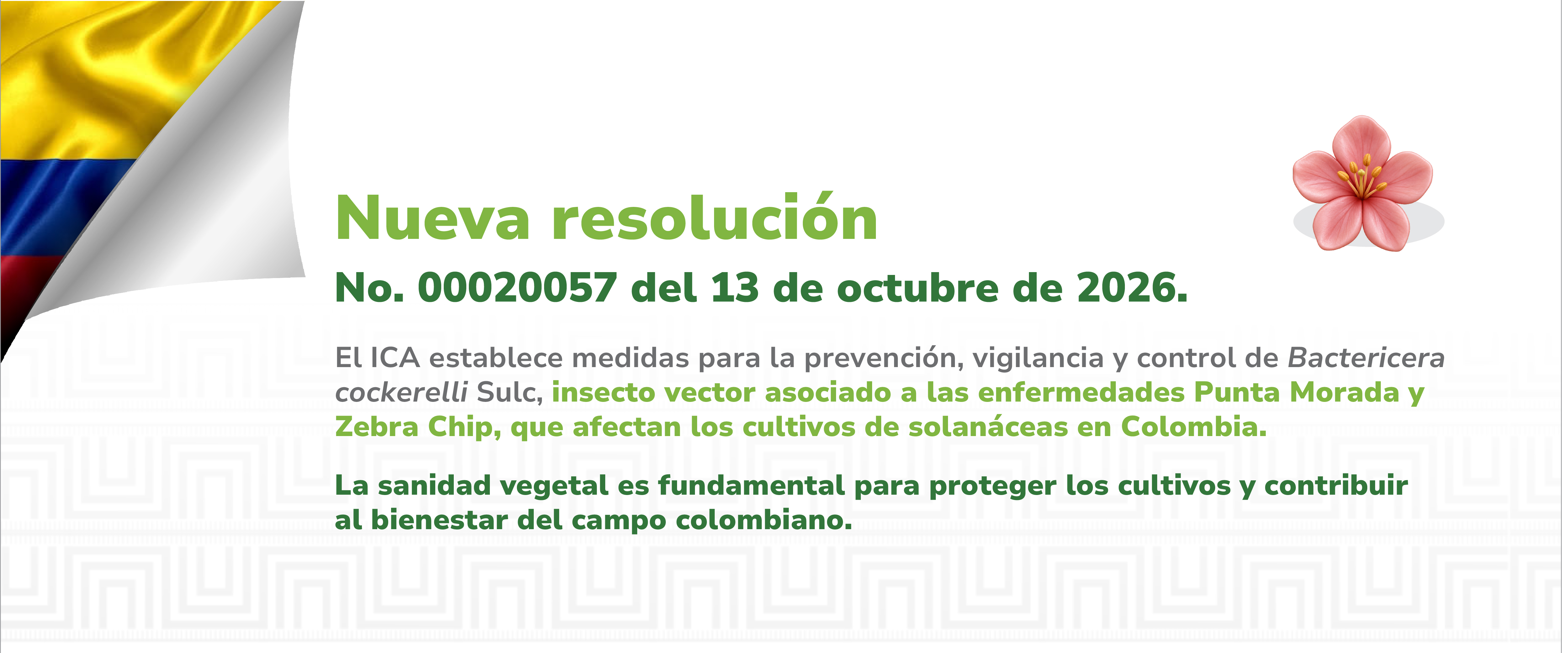 Consulta aquí la resolución 00020057