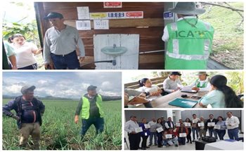 Procesos de certificación en Buenas Prácticas Agrícolas y Ganaderas 