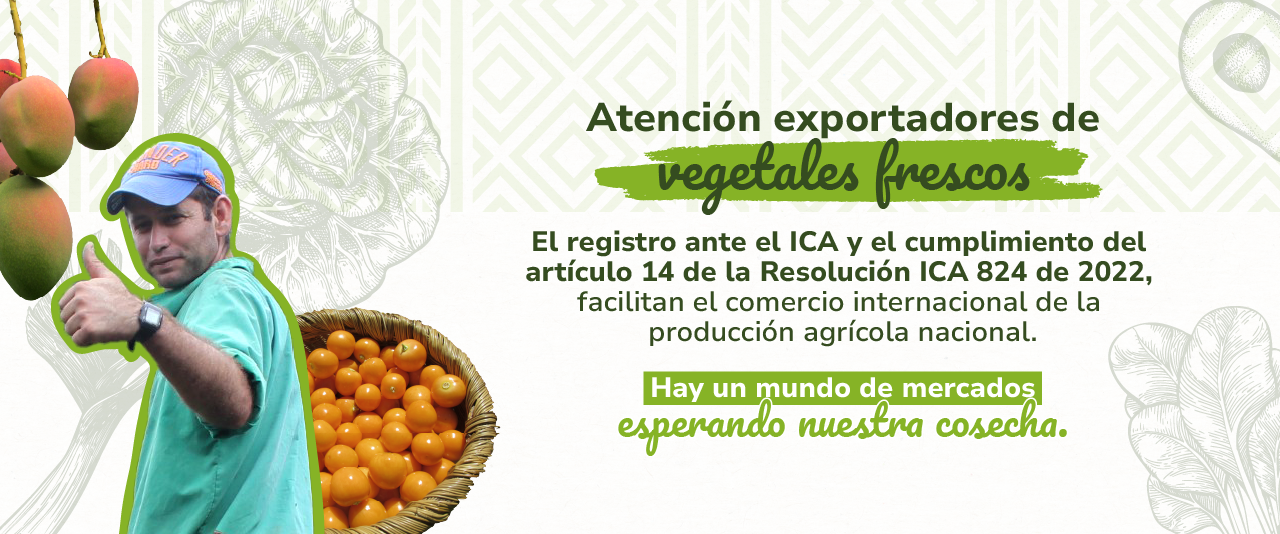 Más información aquí: 