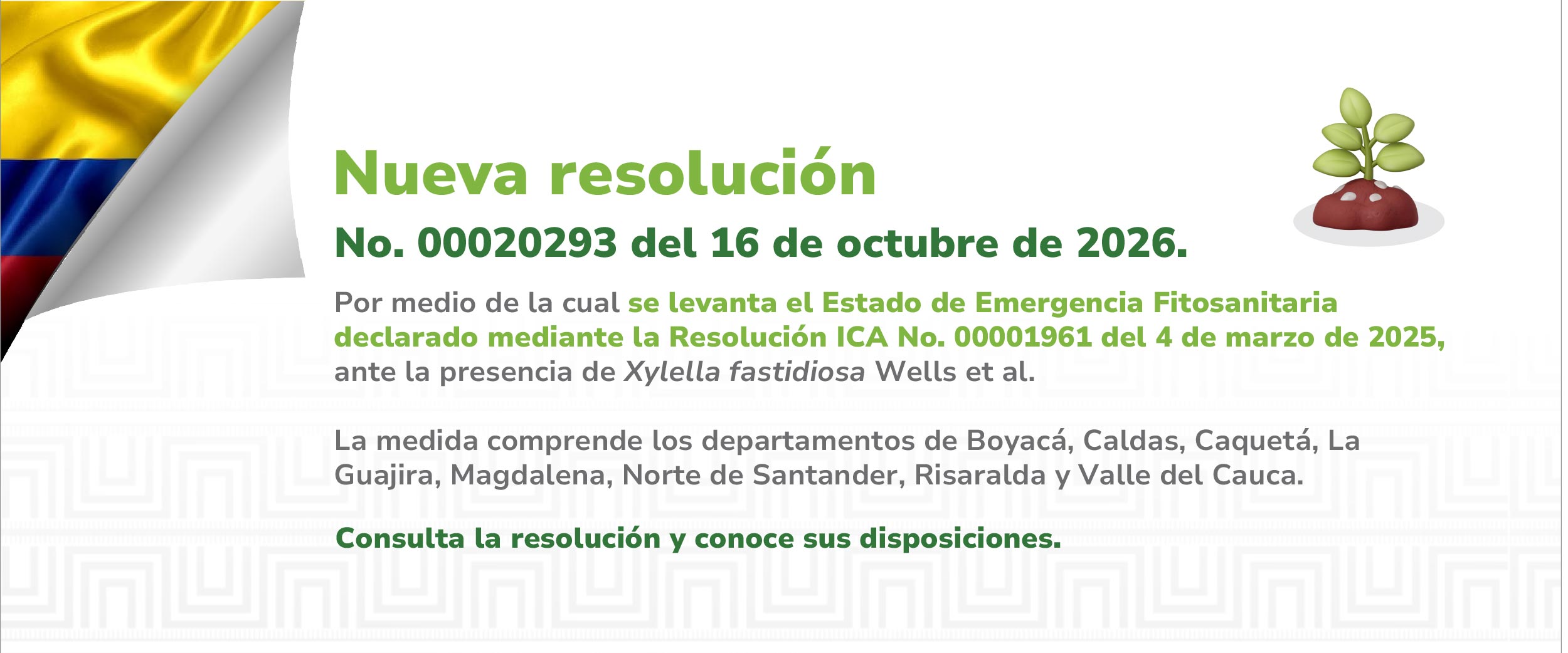 Conoce aquí la resolución 00020293