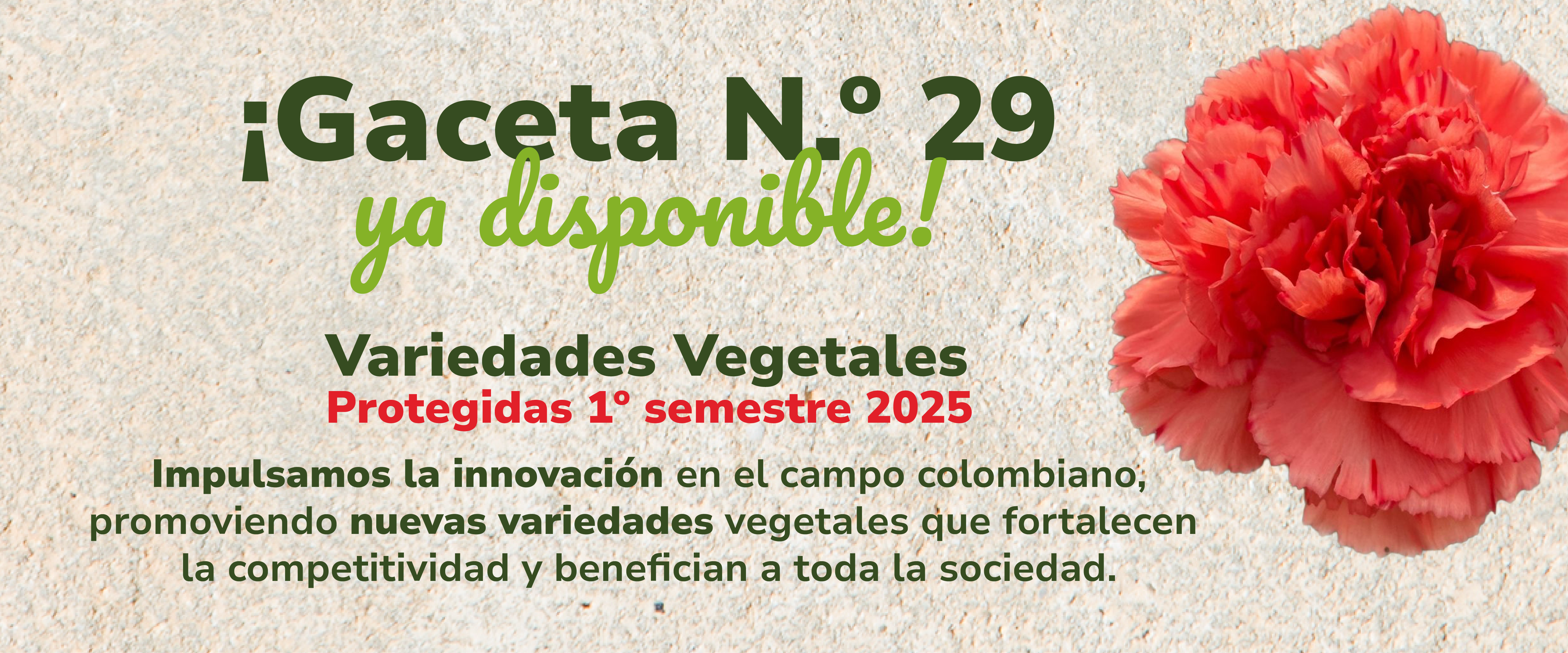 Encuéntrala aquí: 