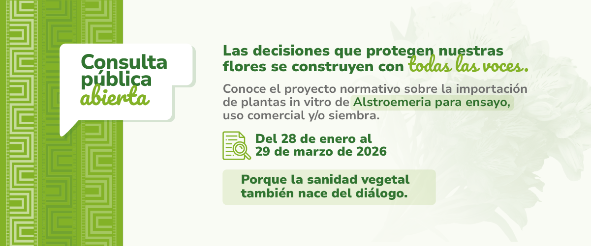 Participa en la consulta pública Alstroemeria de Kenia