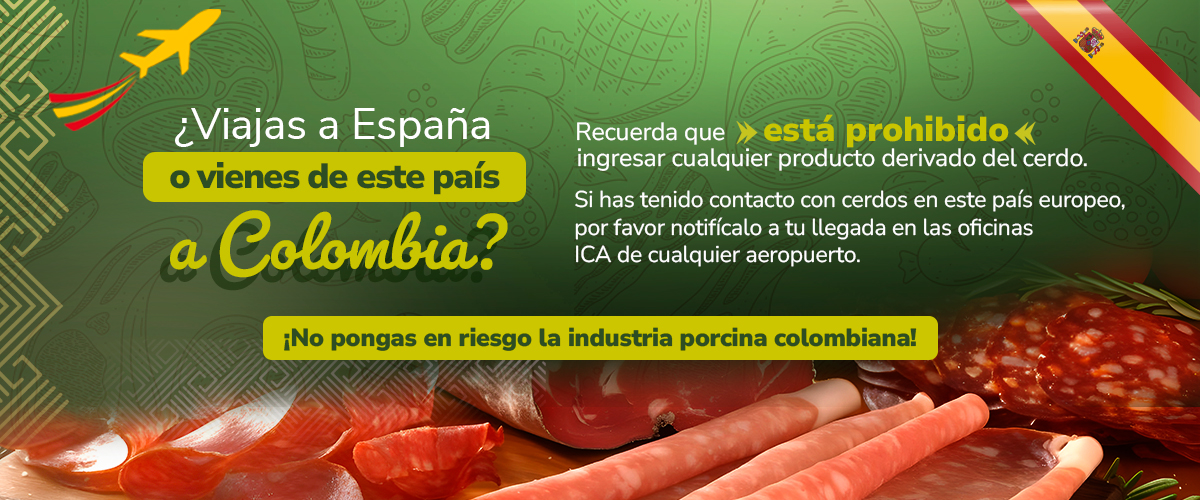 Ten en cuenta esta recomendación y no pongas en riesgo la industria porcina colombiana