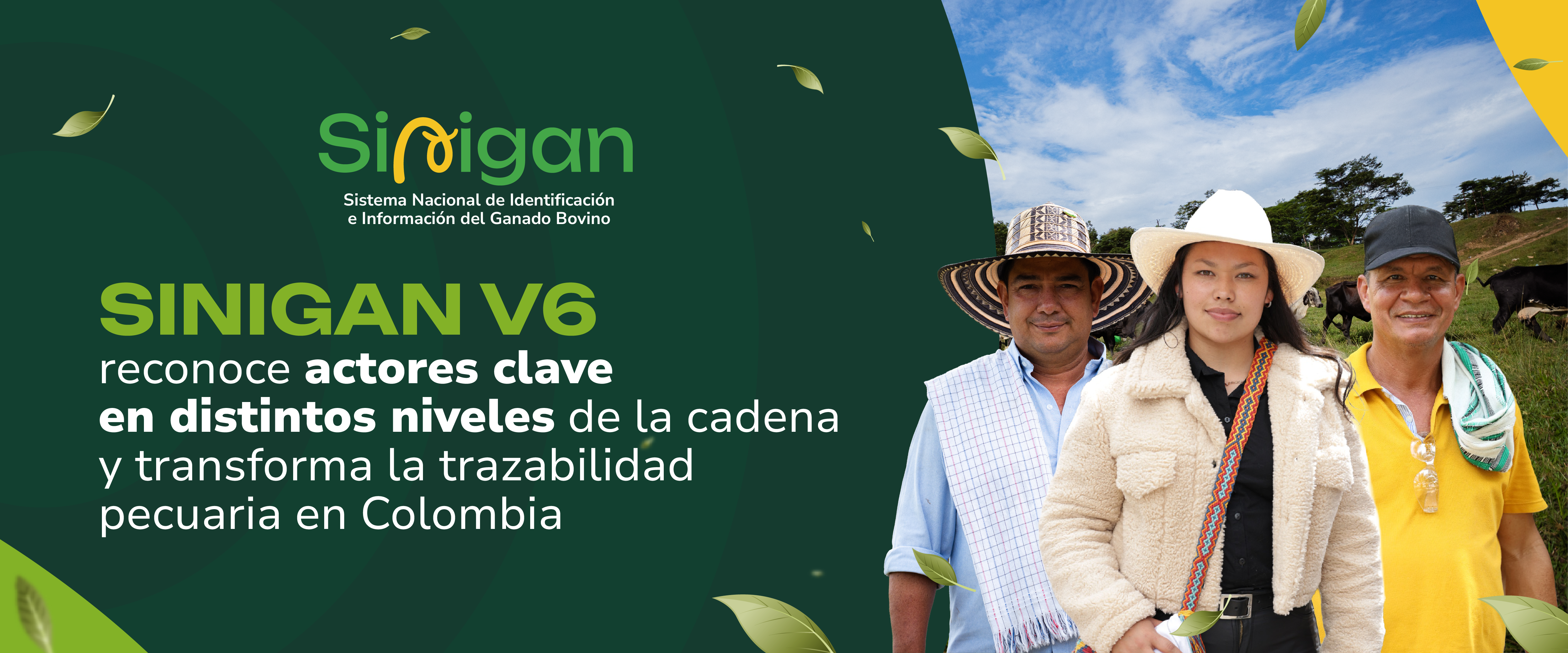 Conoce los roles aquí: 