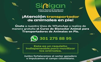 Curso de bienestar animal en el transporte.