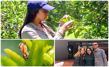 Equipo de trabajo de la Dirección Técnica de Epidemiología y Vigilancia Fitosanitaria