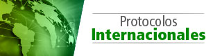 Protocolos Internacionales
