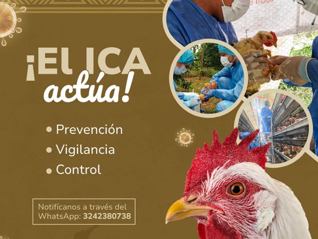 Archivo ICA.