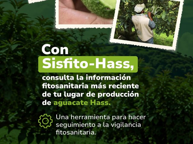Participantes en la jornada. 