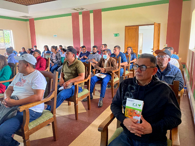 En Boyacá, más productores avícolas certifican sus granjas como bioseguras