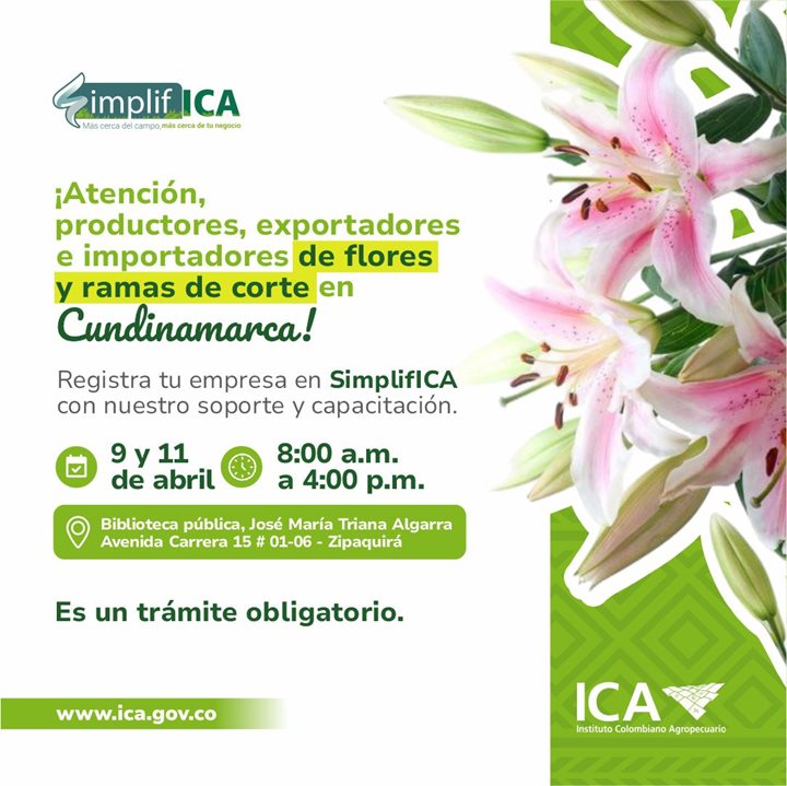 IMPORTADORES-Y-ECXPORTADORES-DE-FLORES.jpeg