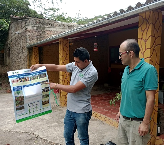 Inspección fitosanitaria a cultivos de frutales en Boyacá