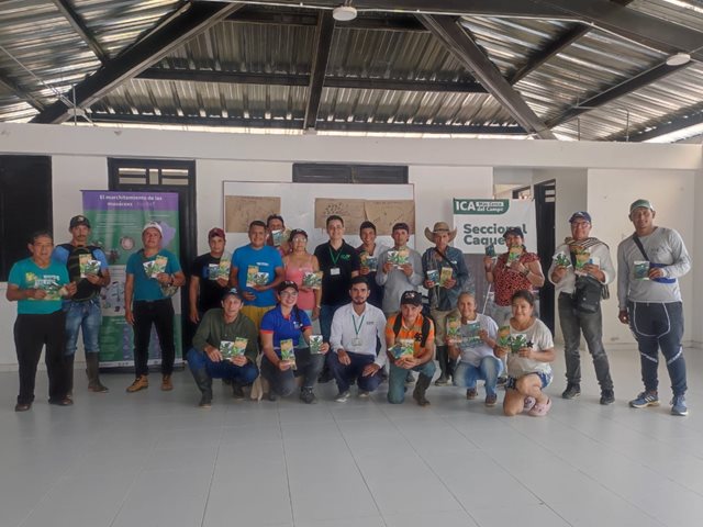 El ICA capacita a productores de plátano en Caquetá para prevenir el Fusarium Raza 4 Tropical