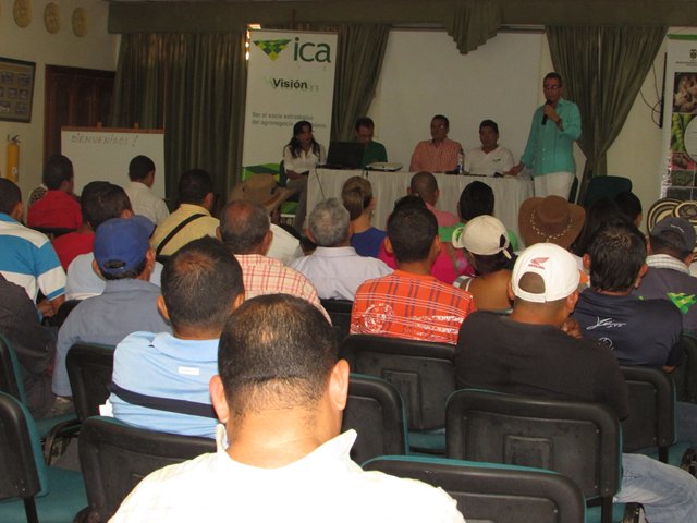 El ICA socializó los resultados del censo aguacatero en los Montes de María  