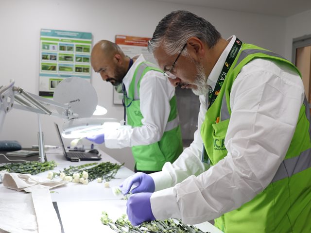 Primer cargamento de flores sometido a inspección en punto de origen  
