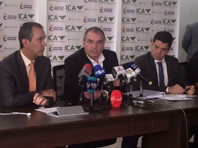 ICA notifica conclusión del foco de aftosa en Tame, Arauca, y reporta brote de la enfermedad  en Yacopí, Cundinamarca