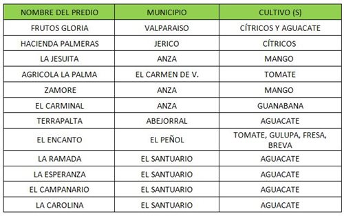 Cuadro-Antioquia.JPG
