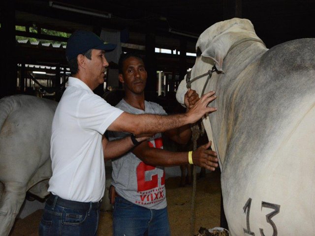 La pujanza de la agroindustria y la ganadería de la Región Caribe   tienen una cita en la feria de Sabanalarga  
