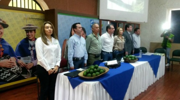 El ICA brinda acompañamiento a los productores de aguacate hass para exportación