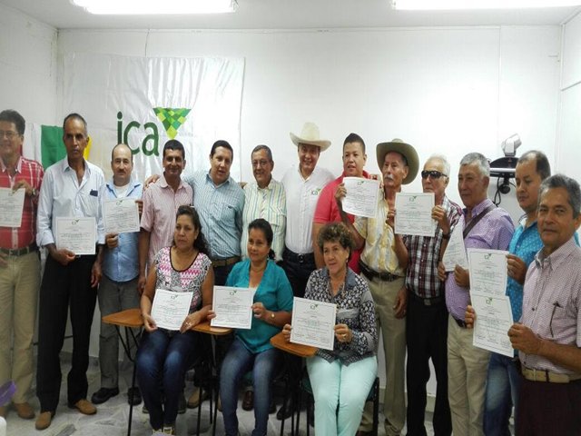 Cacaoteros del Huila le apuestan a la producción sana y competitiva 