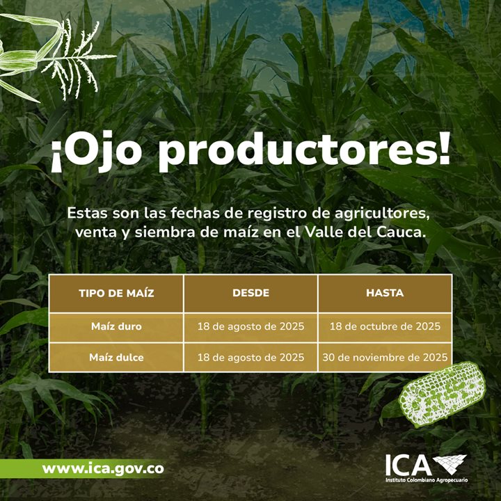 Convocatoria-productores-de-Maiz-Valle-del-Cauca1.jpg