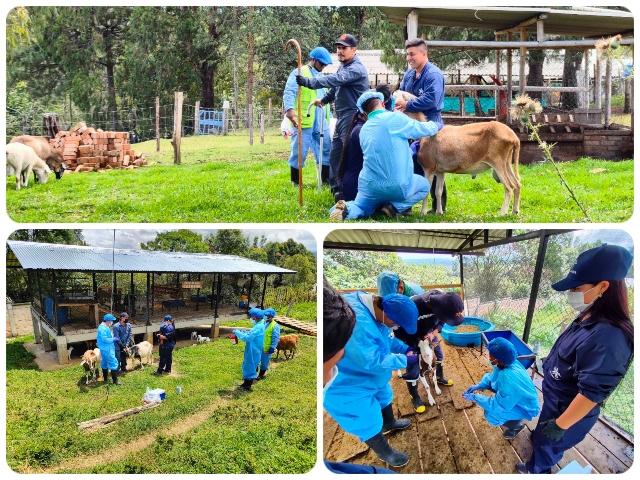 Visita del ICA a las instalaciones de la granja agropecuaria del Sena en Popayán. 