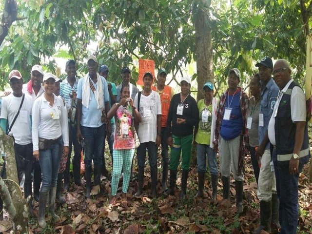 En el Chocó, el ICA capacita a productores de cacao en Buenas Prácticas Agrícolas 