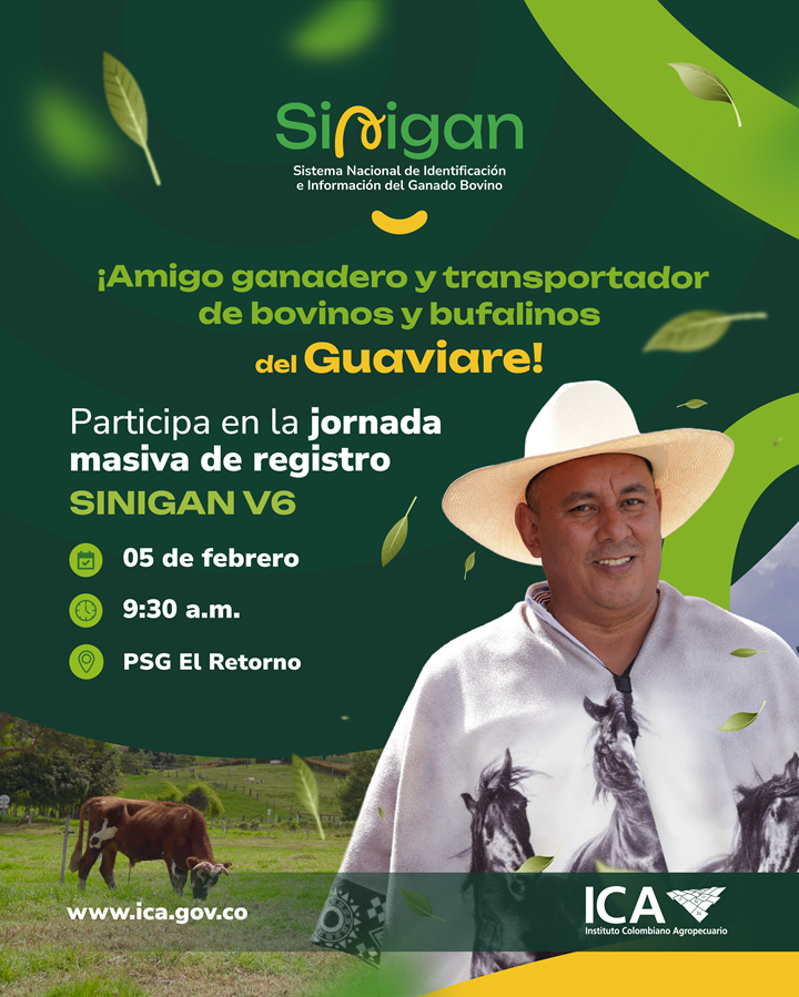 1-pieza-sinigan-Guaviare-registro-masivo-02.png