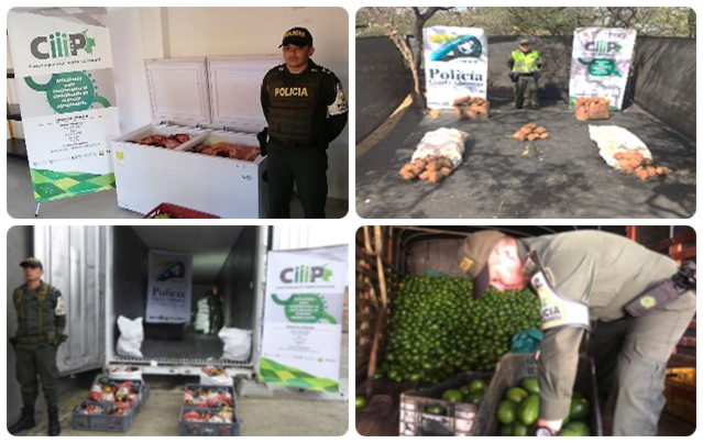 El CIIIP pone en jaque al contrabando agropecuario y la ilegalidad en zona de frontera 