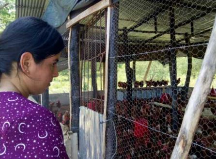 Las granjas avícolas bioseguras generan confianza en los consumidores 