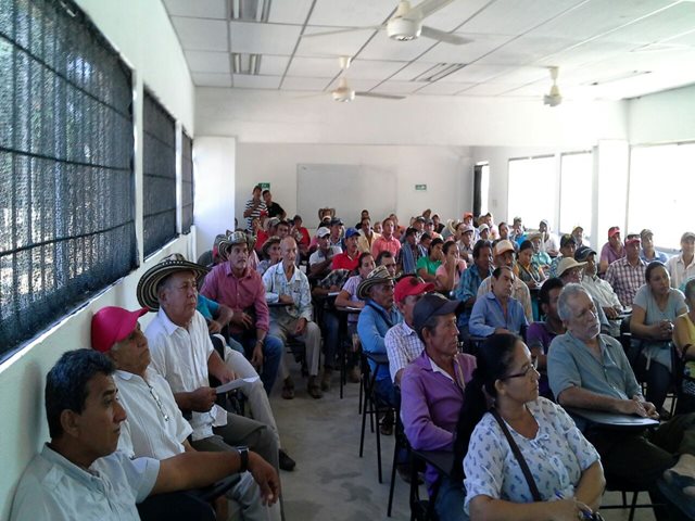 El ICA lideró taller de educomunicación con productores de yuca en Sucre
