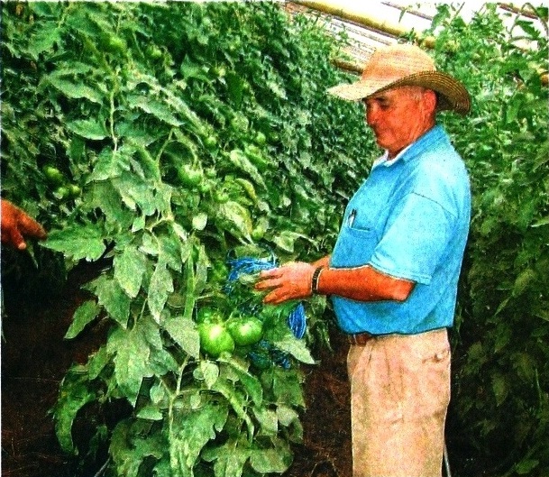 Colombia tiene más de 40 mil hectáreas de producción orgánica
