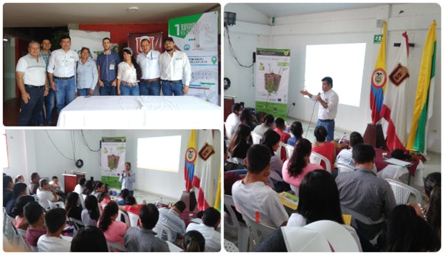 El Huila aúna esfuerzos para evitar el HLB de los cítricos 